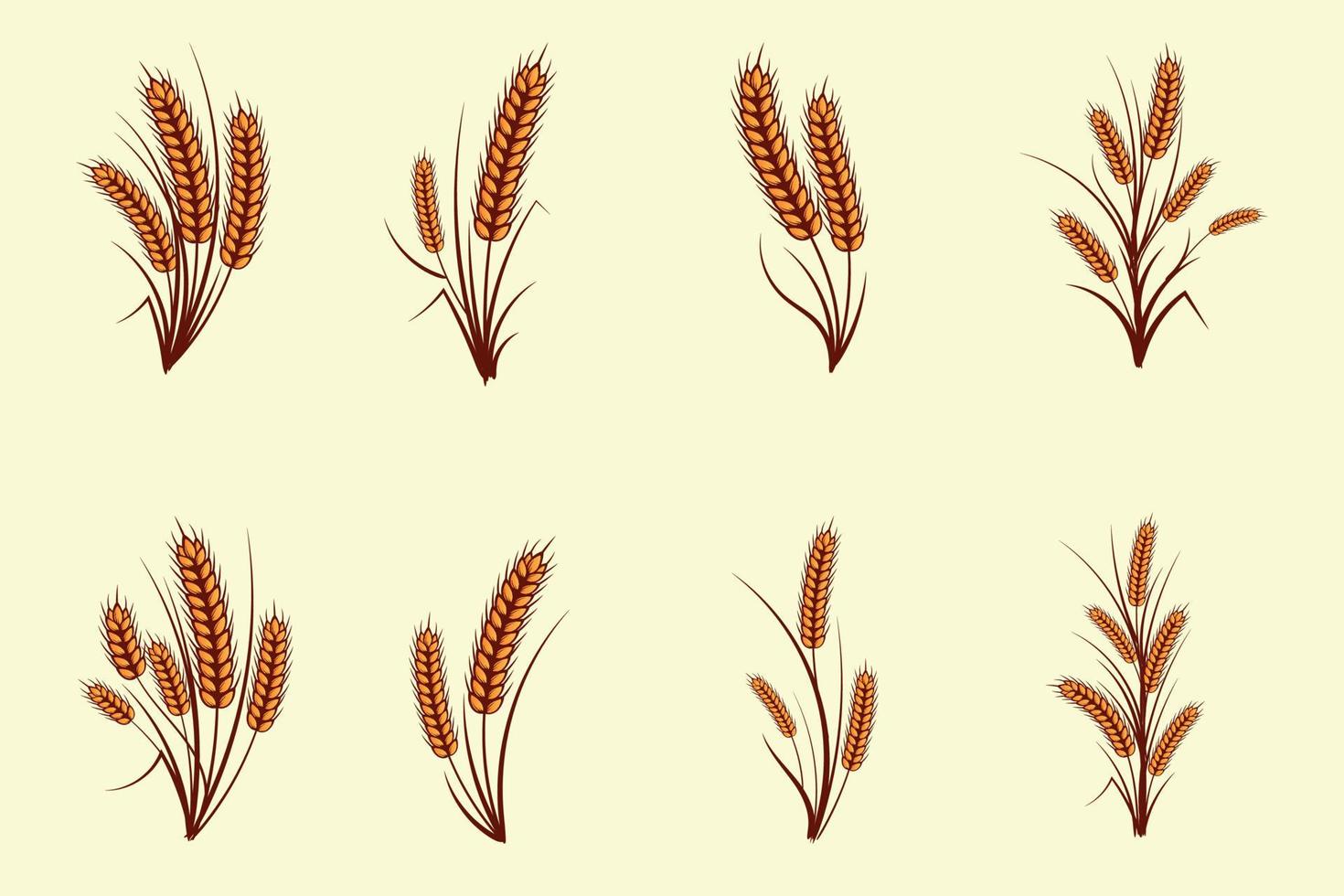 Set of hand drawn yellow golden color of wheat ears cereals barley illustration in vintage and retro style on white background vector