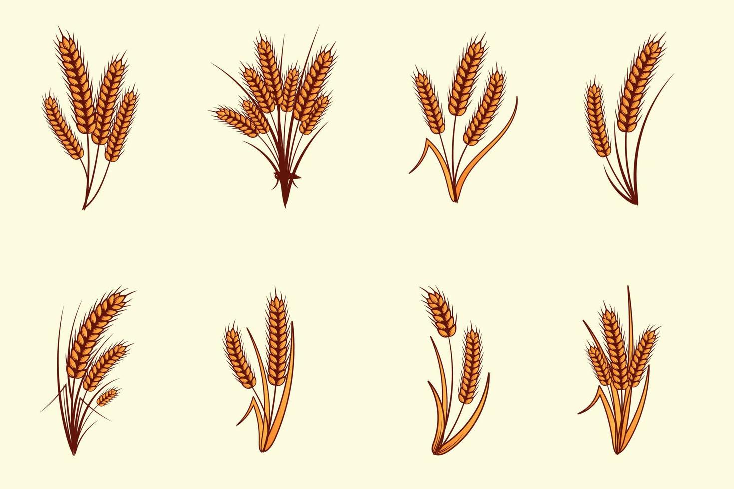 Set of hand drawn yellow golden color of wheat ears cereals barley illustration in vintage and retro style on white background vector