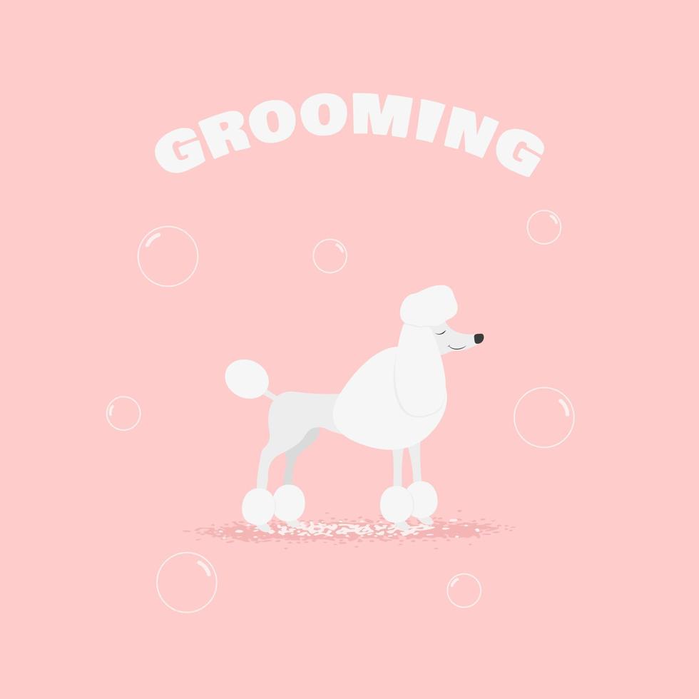 Grooming banner with poodle. vector