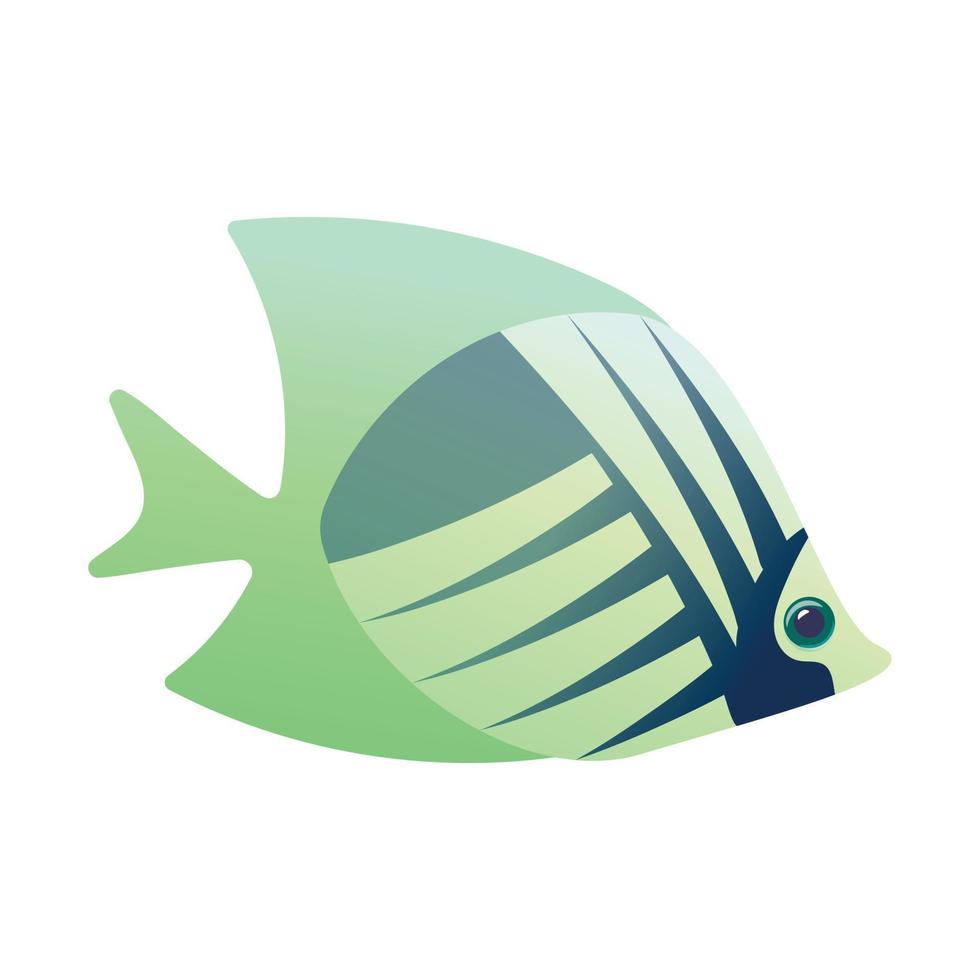 Tropical angelfish cartoon icon vector