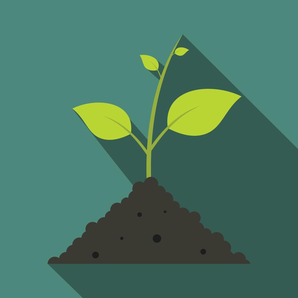 Green sprout in the ground vector