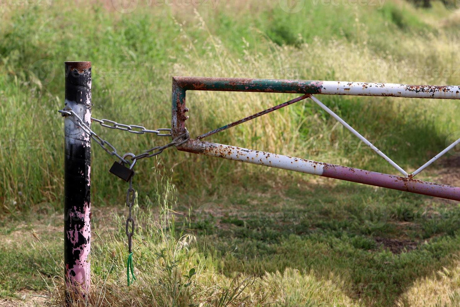 A rusty padlock hangs on a closed gate. photo