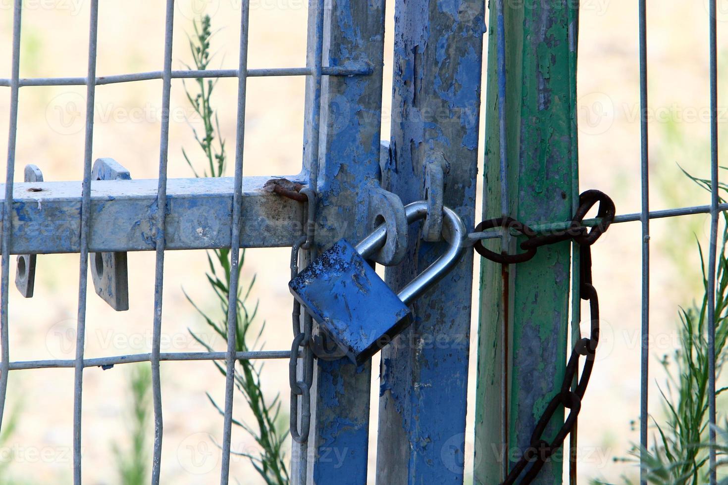 A rusty padlock hangs on a closed gate. photo