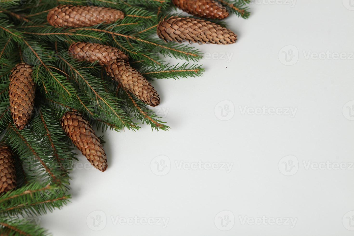 Holidays greeting card or banner composition with pine tree branches. Merry Christmas background and Happy New Year 2023. photo