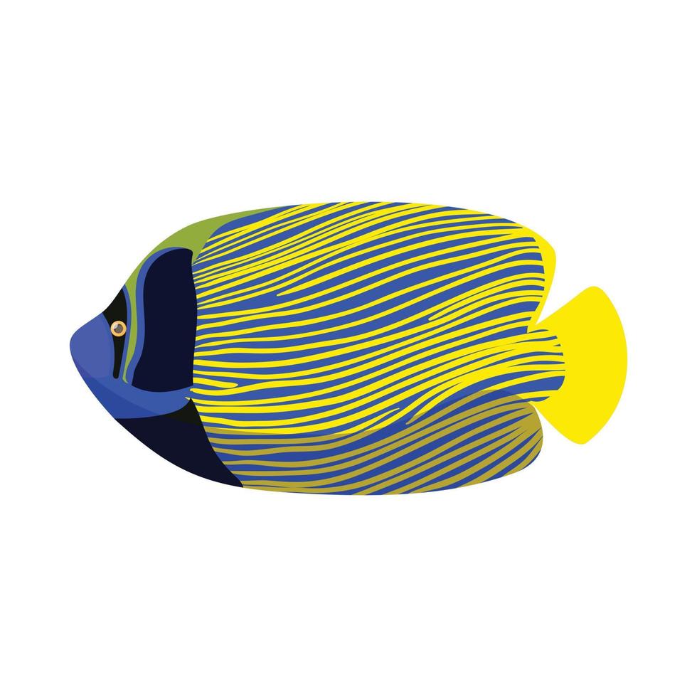 Tropical angelfish icon, cartoon style vector