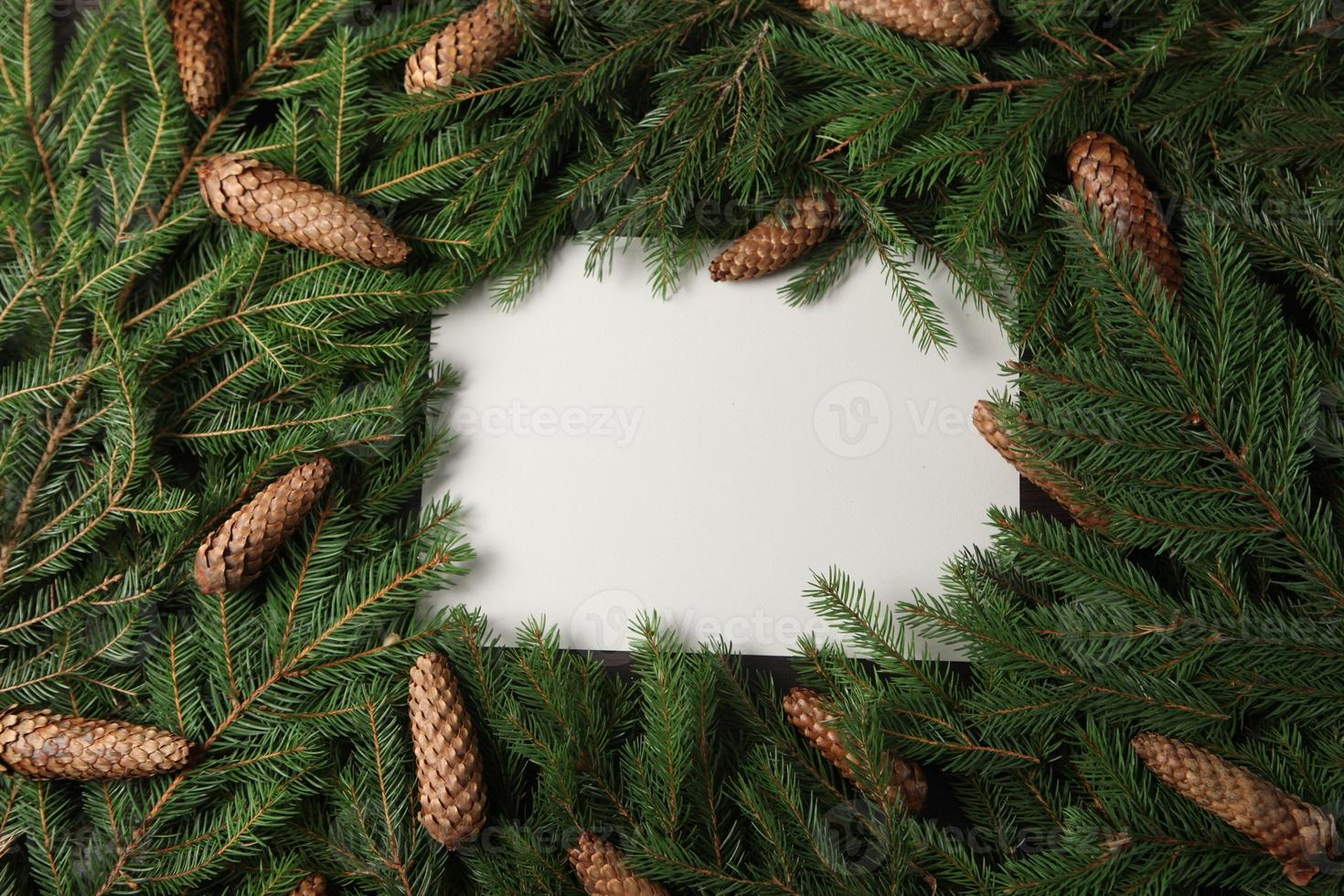 Holidays greeting card or banner composition with pine tree branches. Merry Christmas background and Happy New Year 2023. photo