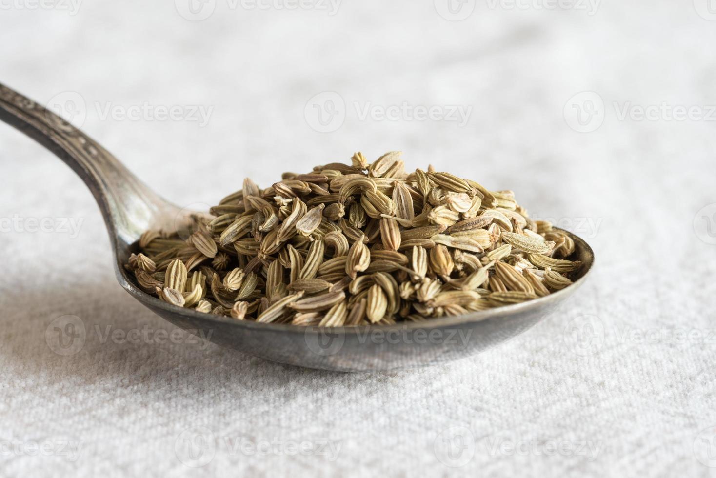 Fennel Seeds on a Spoon photo