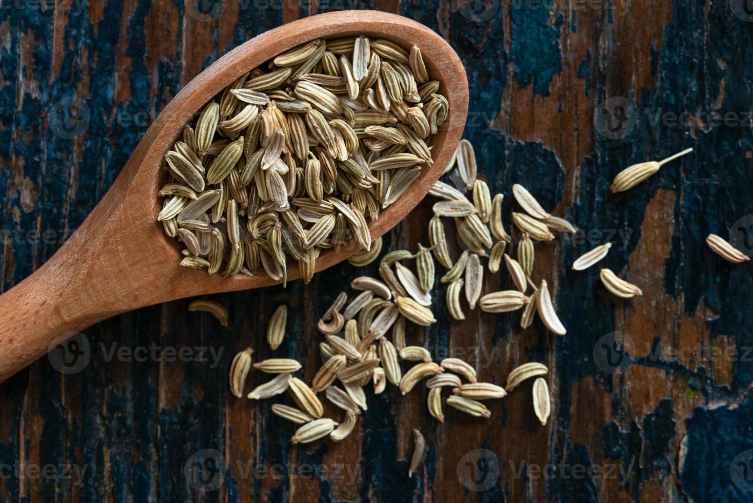 Fennel Seeds Spilled from a Teaspoon photo