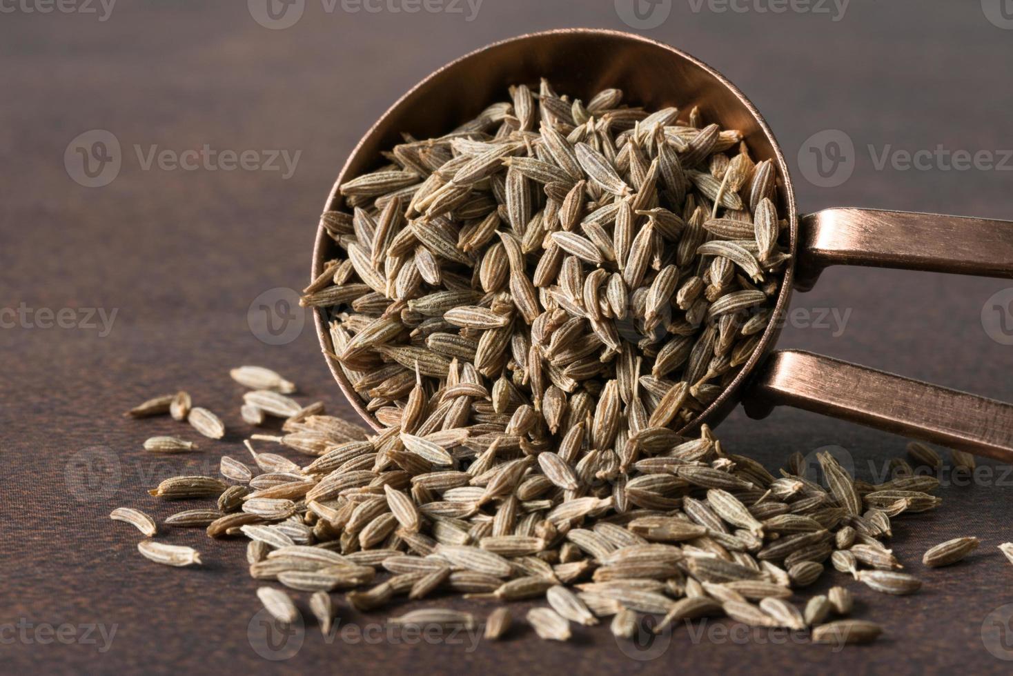 Cumin Seeds Spilled from a Teaspoon photo