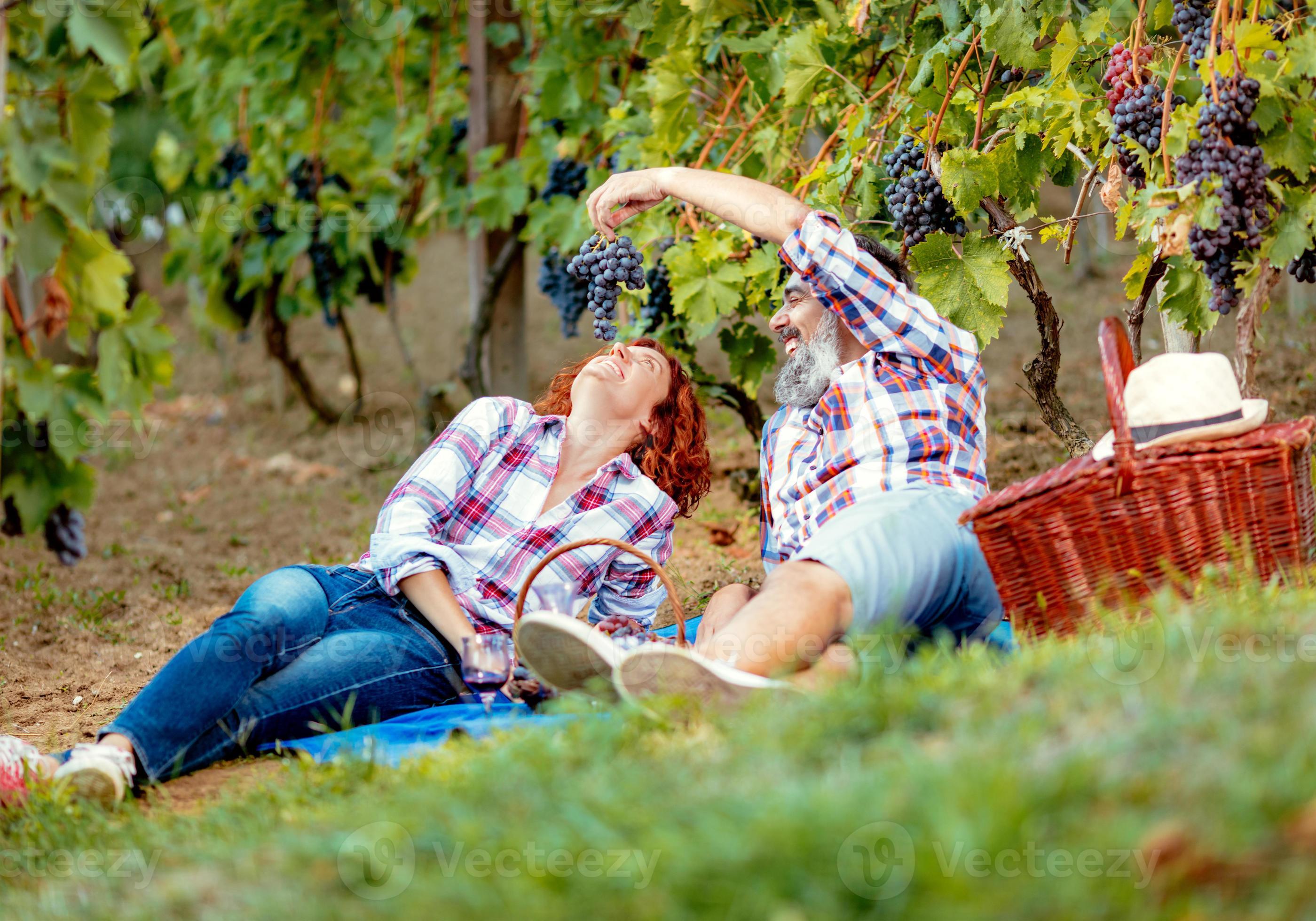 Picnic At Vineyard 14146341 Stock Photo at Vecteezy