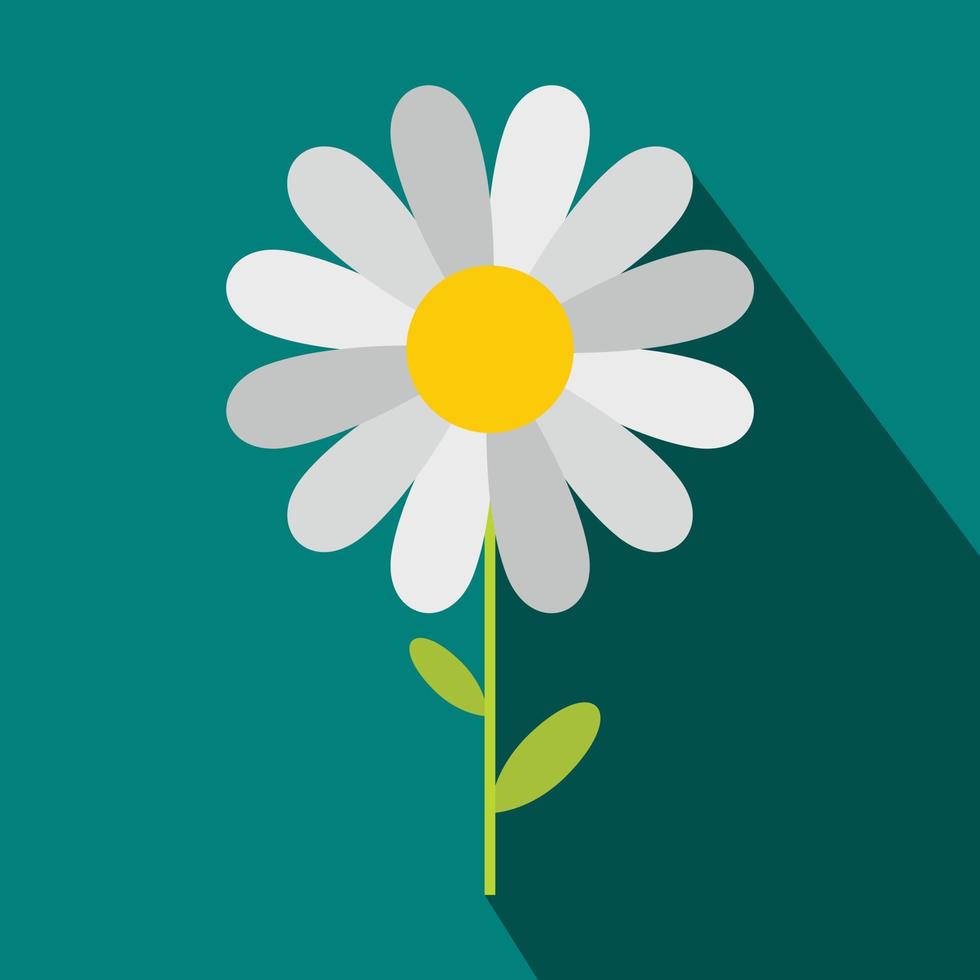 Chamomile icon in flat style vector