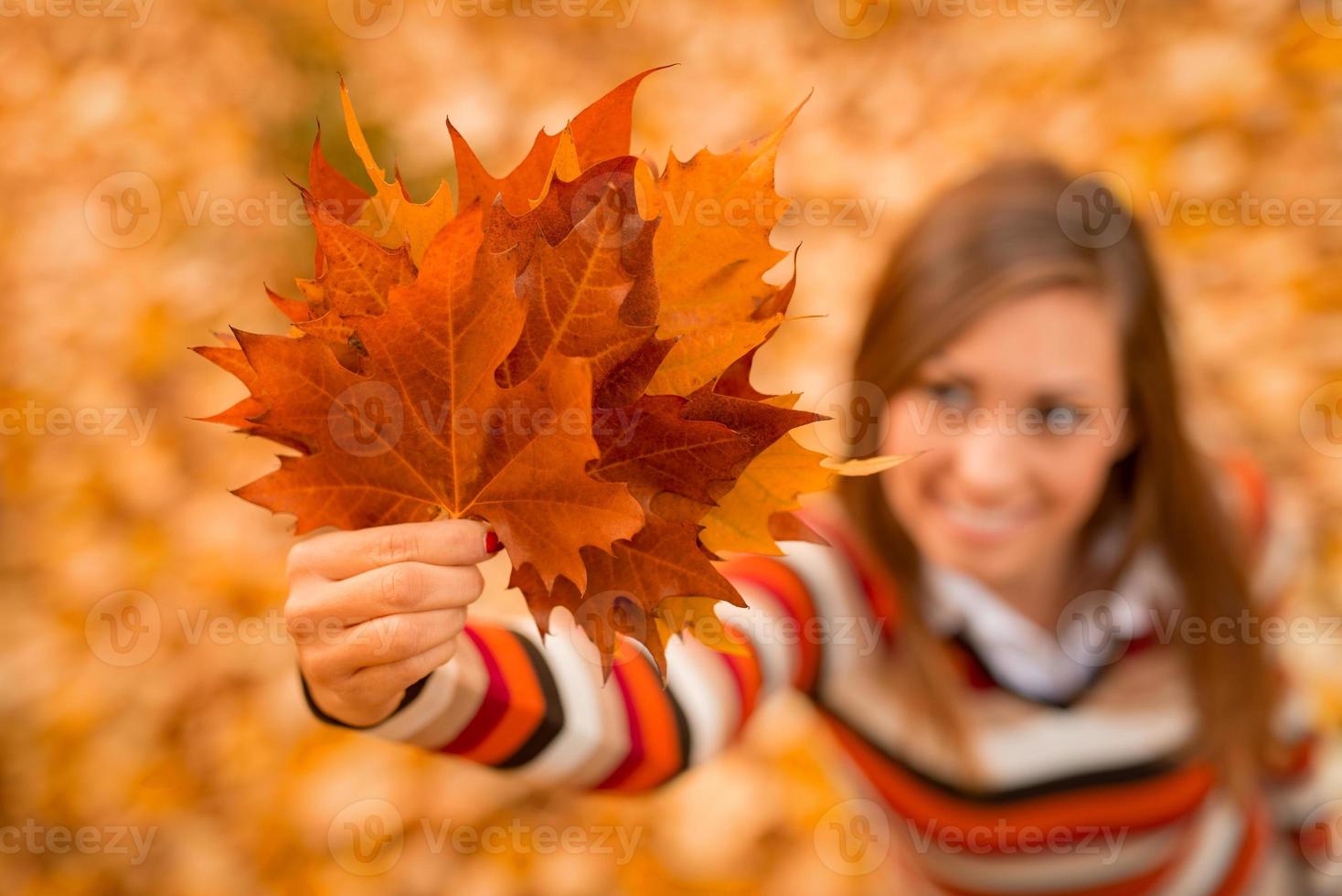Autumn Leaves view photo