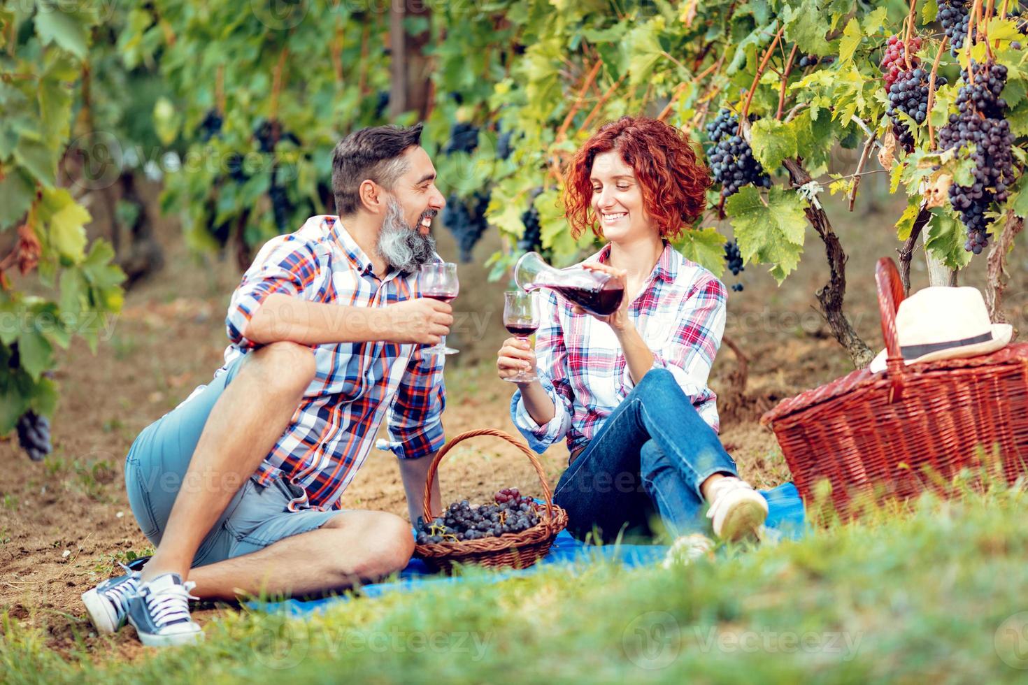 Picnic At Vineyard 14149397 Stock Photo at Vecteezy