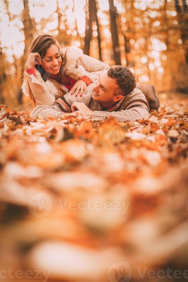 Autumn In Forest photo