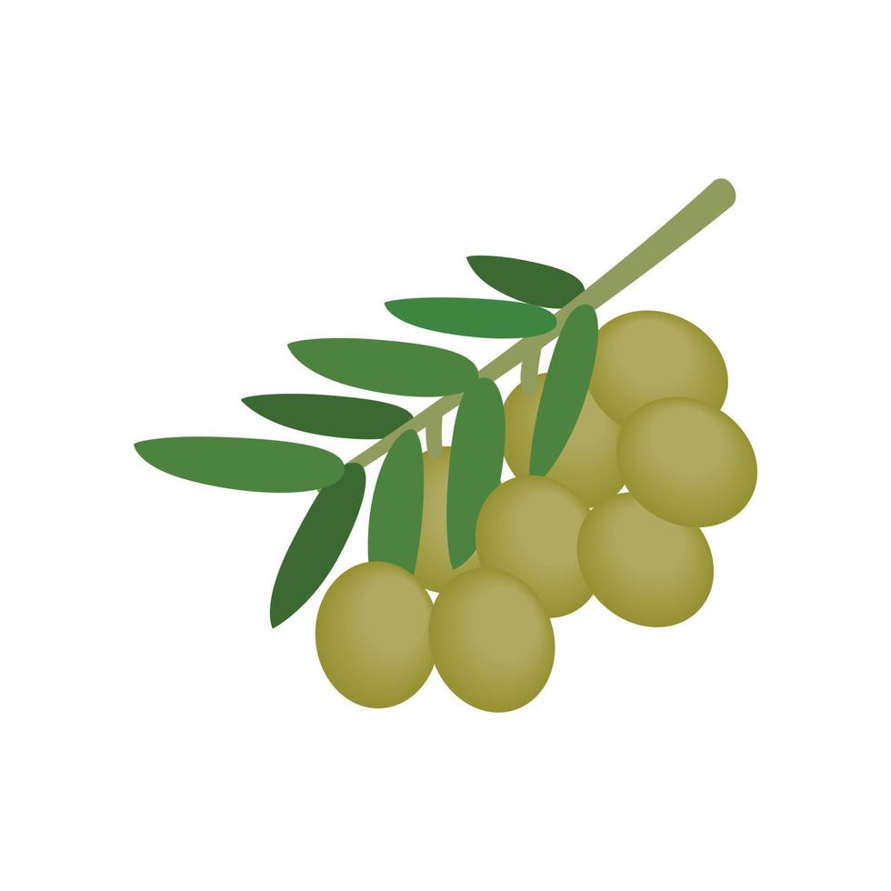 Olives on branch with leaves icon, isometric 3d vector