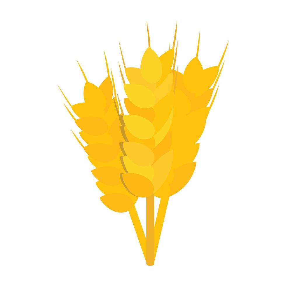 Three stalks of ripe barley icon vector