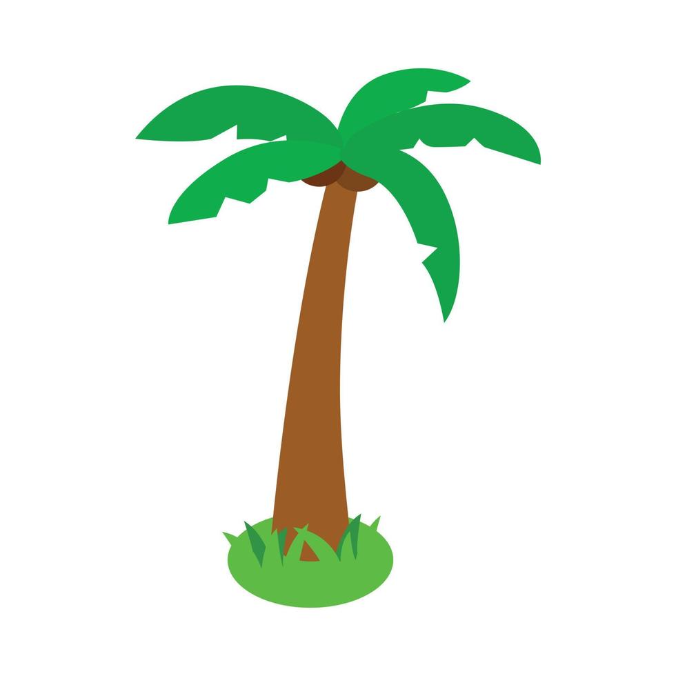 Palm tropical tree icon, isometric 3d style vector