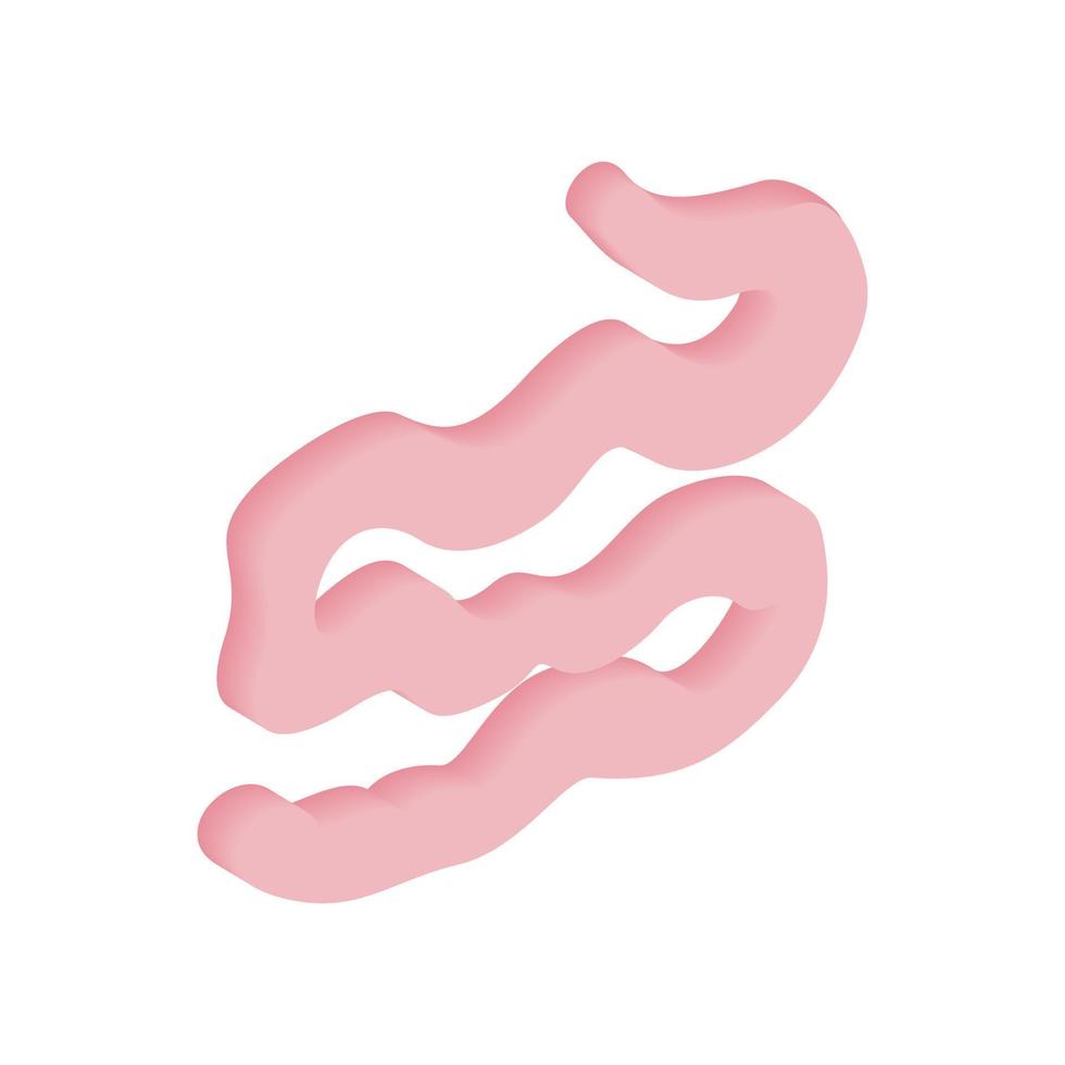 icono 3d isométrico del intestino delgado vector