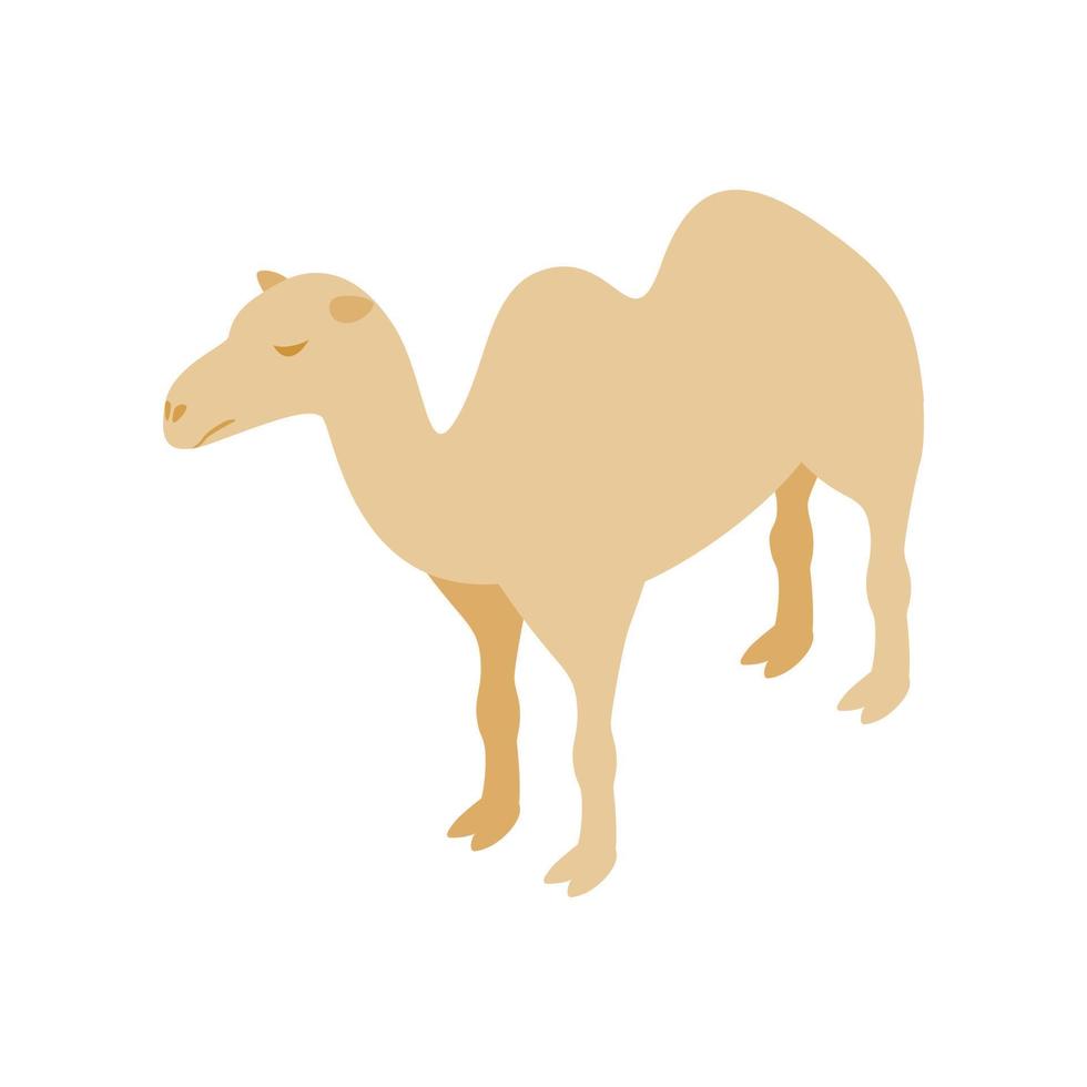 Camel icon, isometric 3d style vector