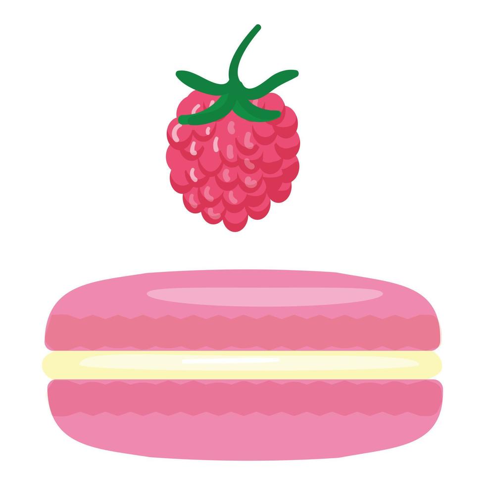 Raspberry macaroon icon cartoon vector. Cake french vector