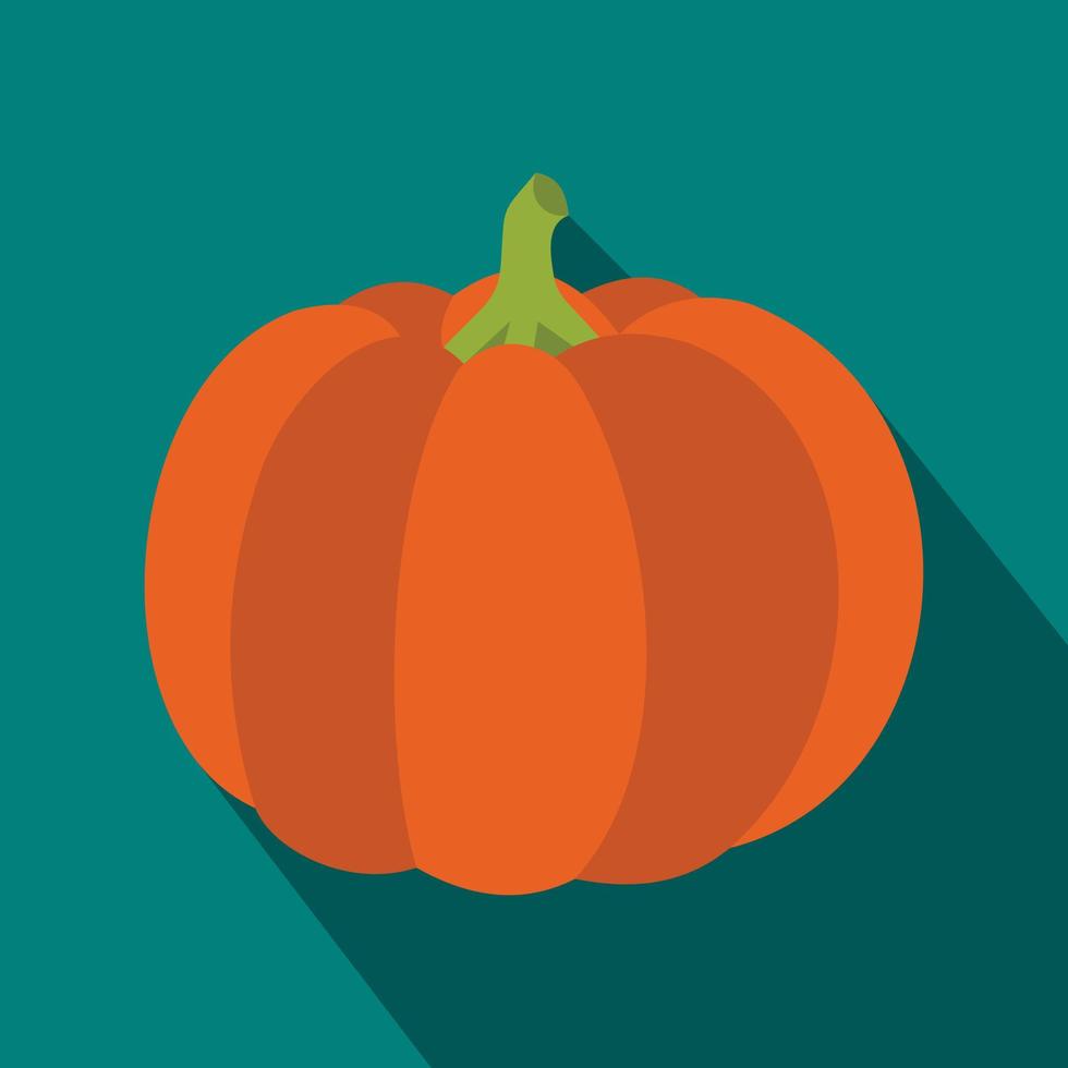 Pumpkin icon in flat style vector