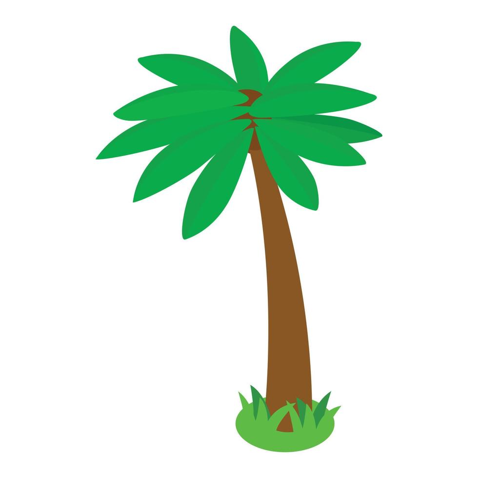 Tropical palm tree icon, isometric 3d style vector