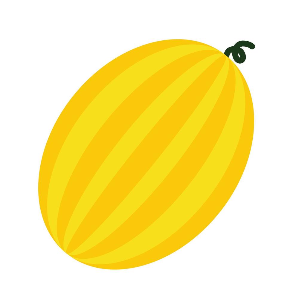 Melon flat icon vector