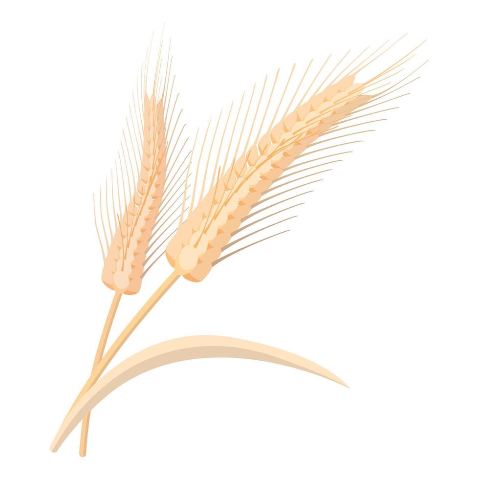 Two stalks of ripe barley cartoon icon vector