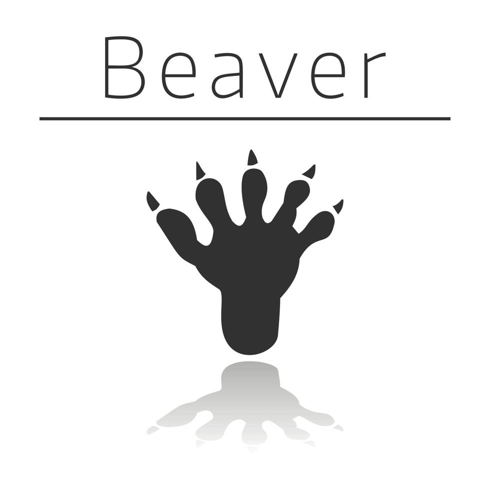 Beaver animal track vector