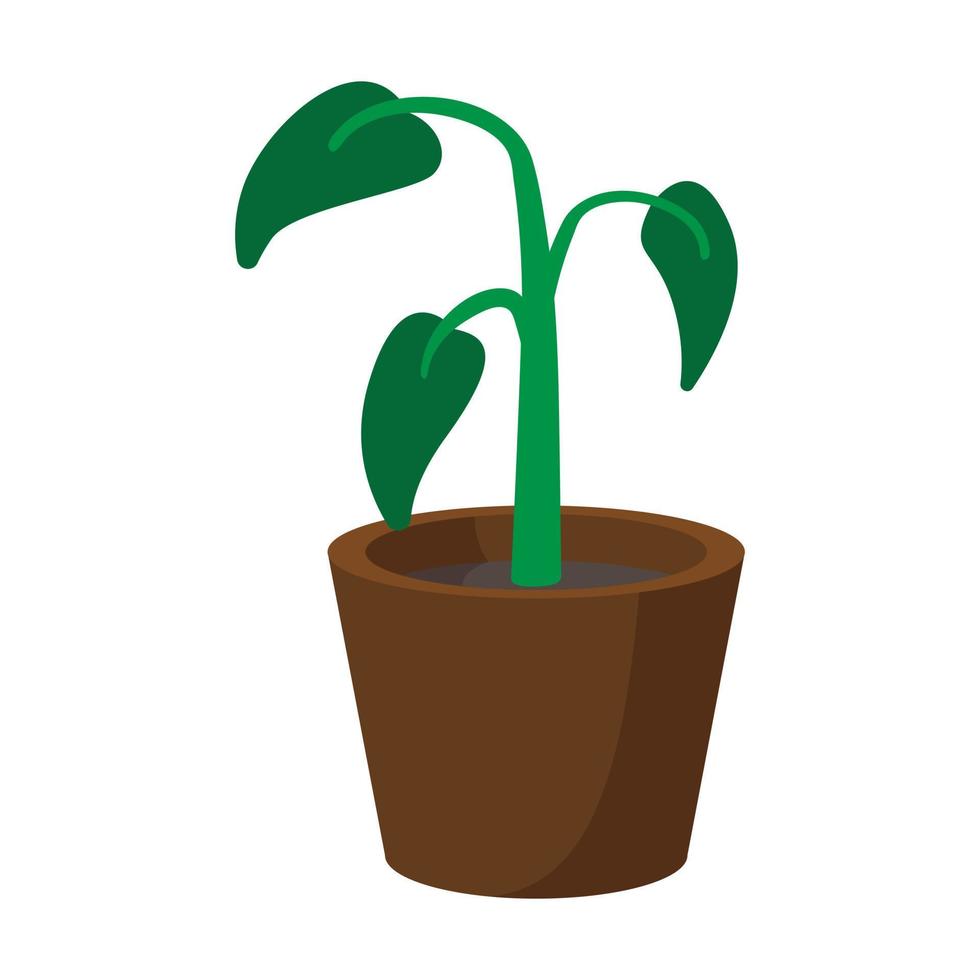 House plant in pot cartoon icon vector