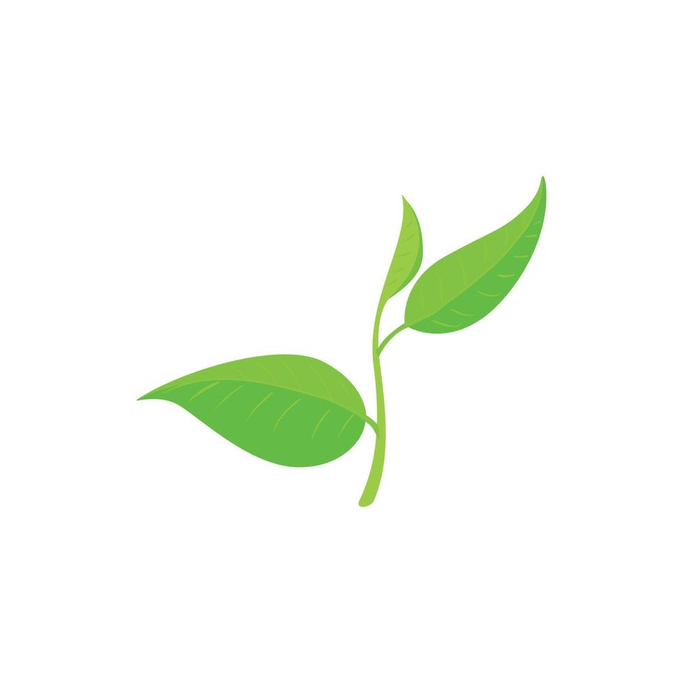 Green tea leaf icon, cartoon style vector