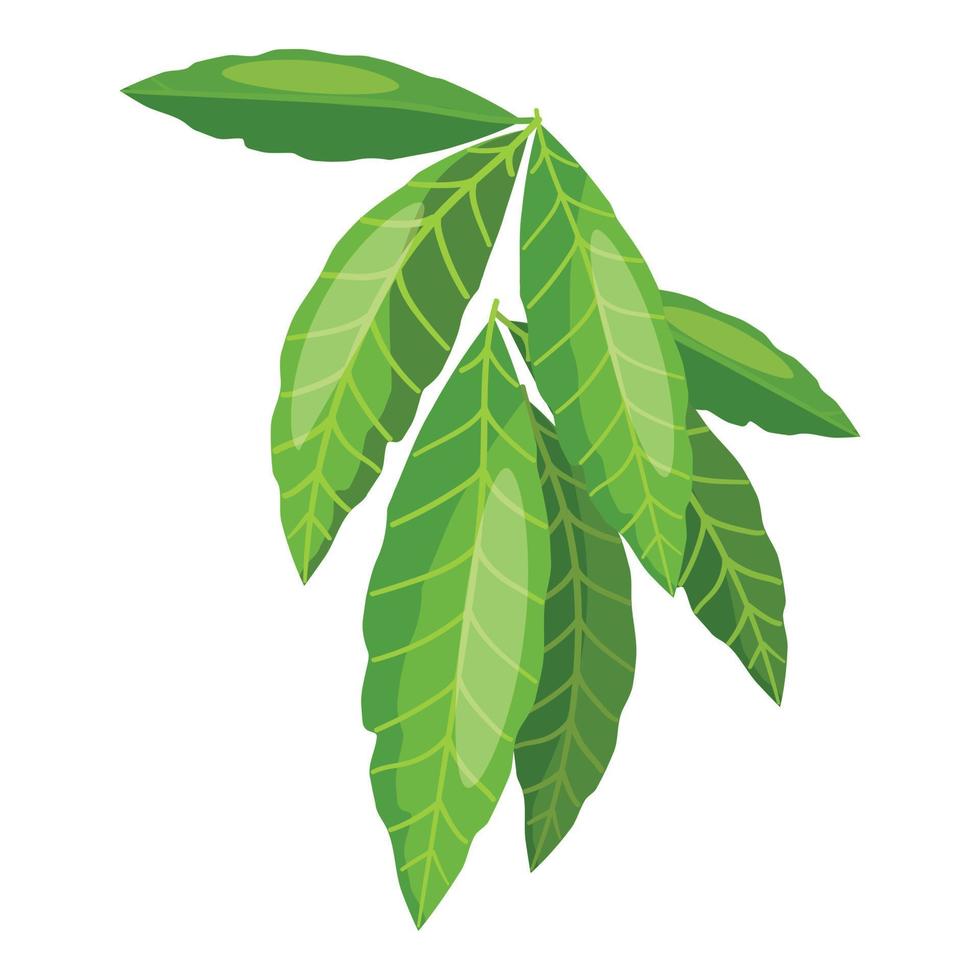 Fruit leaves icon cartoon vector. Summer leaf vector