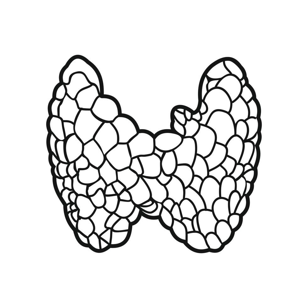 Thyroid black icon vector