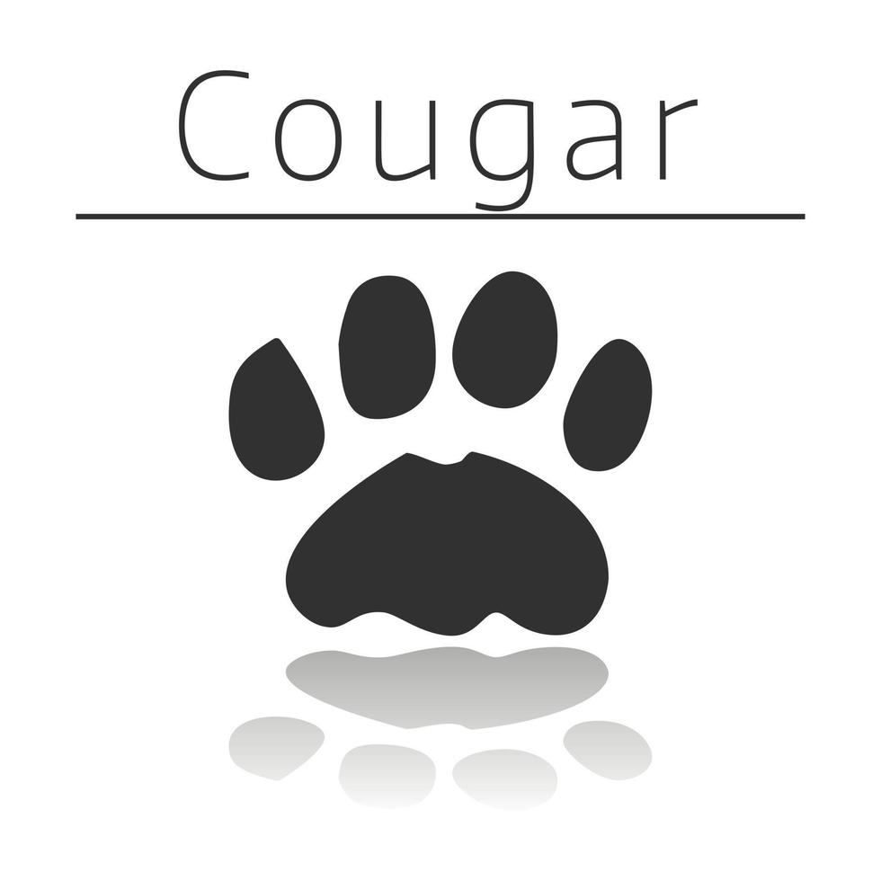 Cougar animal track vector