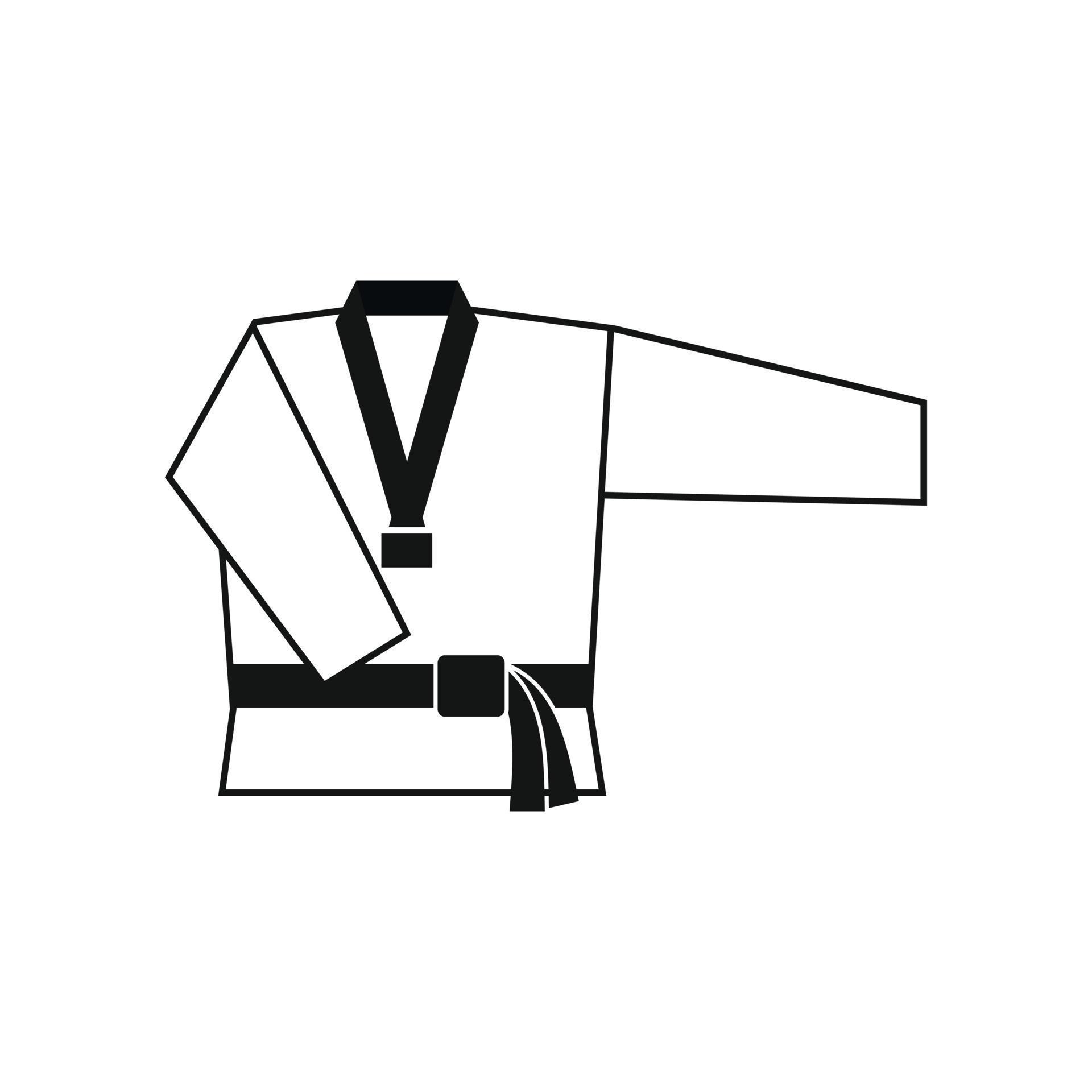 Kimono and martial arts belt icon 14153361 Vector Art at Vecteezy