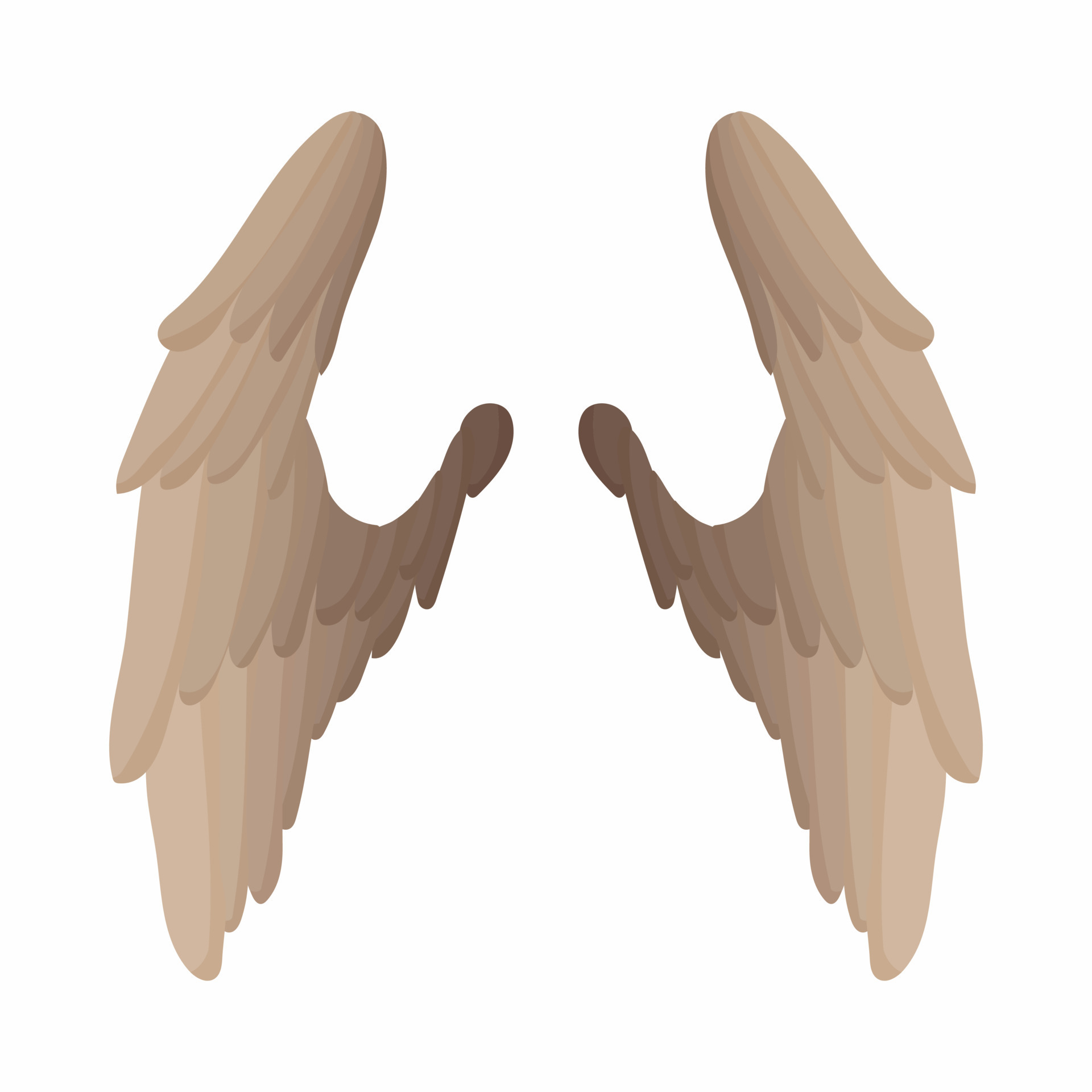 Pair of bird wings icon, cartoon style 14153437 Vector Art at Vecteezy