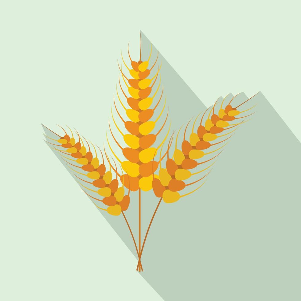 Three stalks of ripe barley flat icon vector