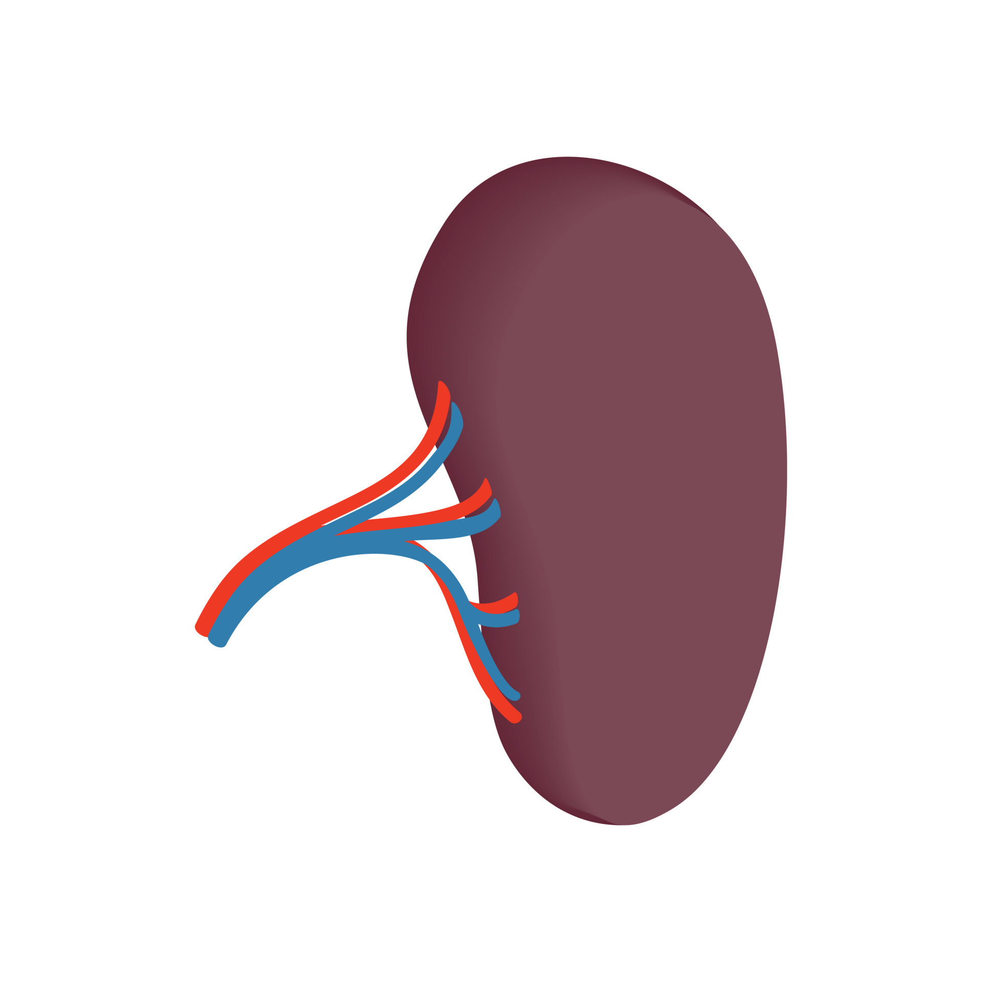 Human spleen isometric 3d icon 14153774 Vector Art at Vecteezy