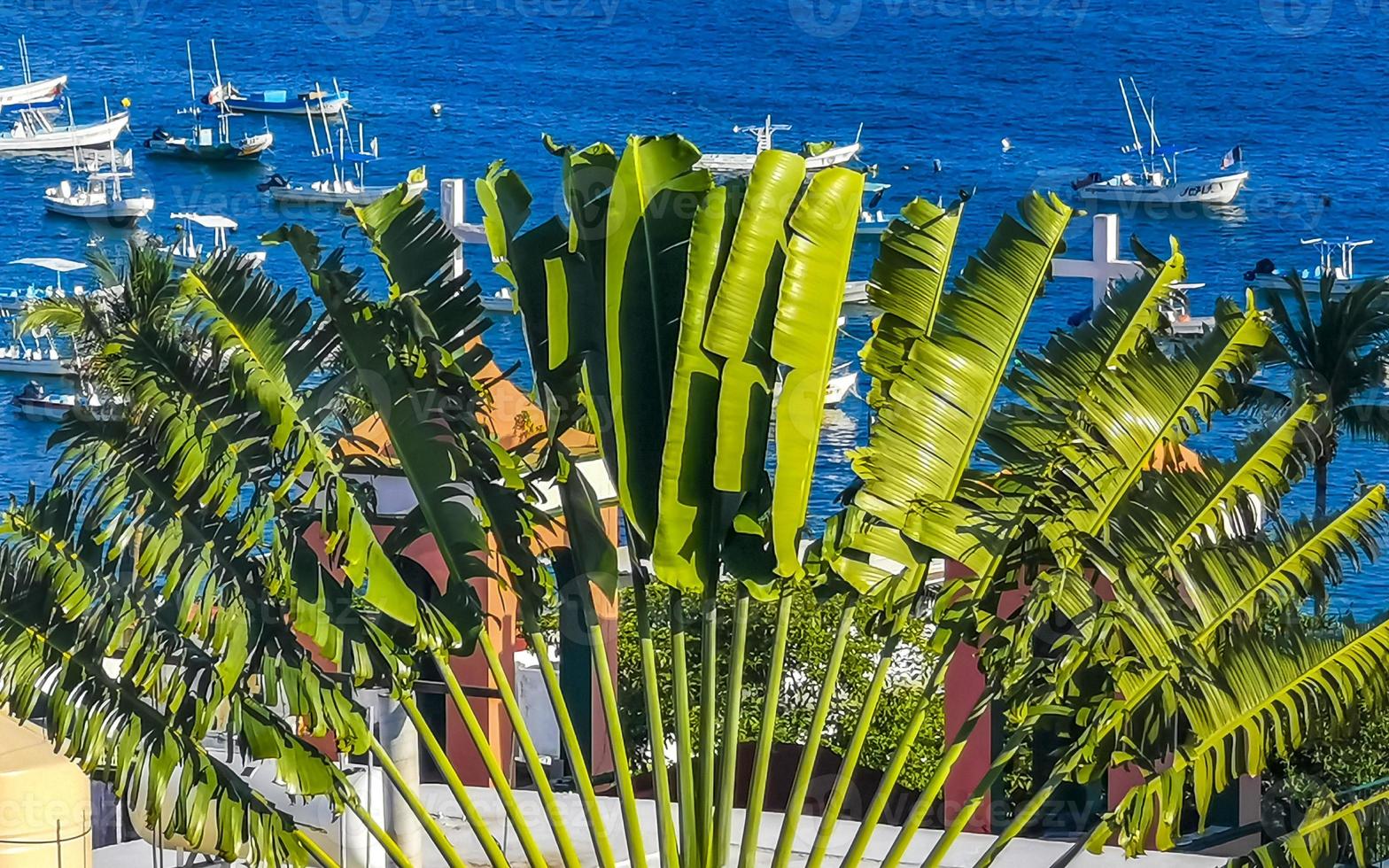 Beautiful city and seascape landscape panorama and view Puerto Escondido Mexico. photo
