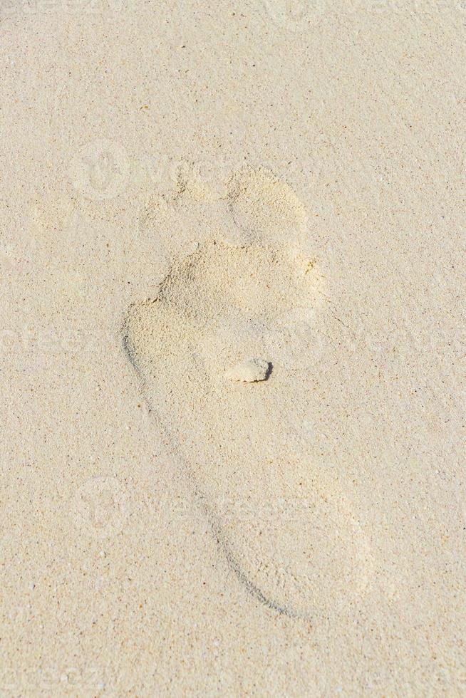 Footprint footprints on the beach sand by the water Mexico. photo