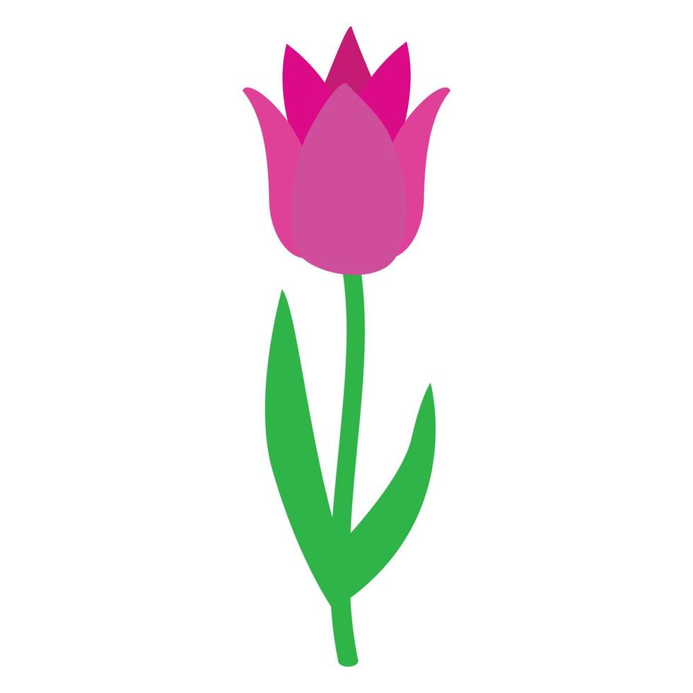 Pink tulip icon, isometric 3d style vector