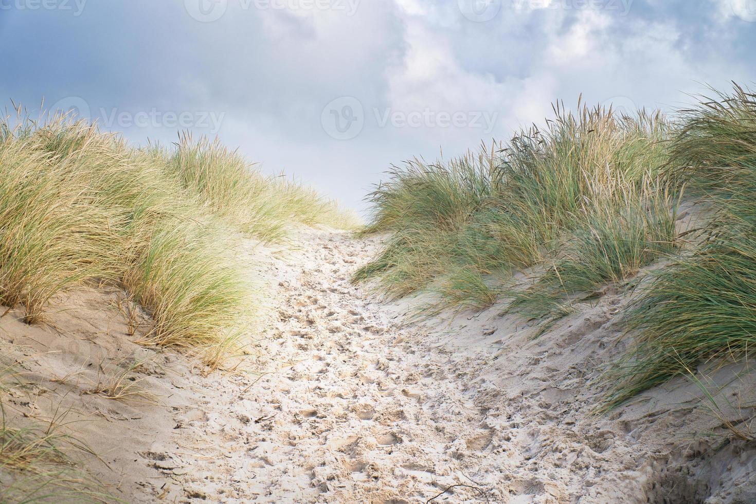 Beach crossing in Denmark by the sea. Dunes, sand water and clouds on the coast photo