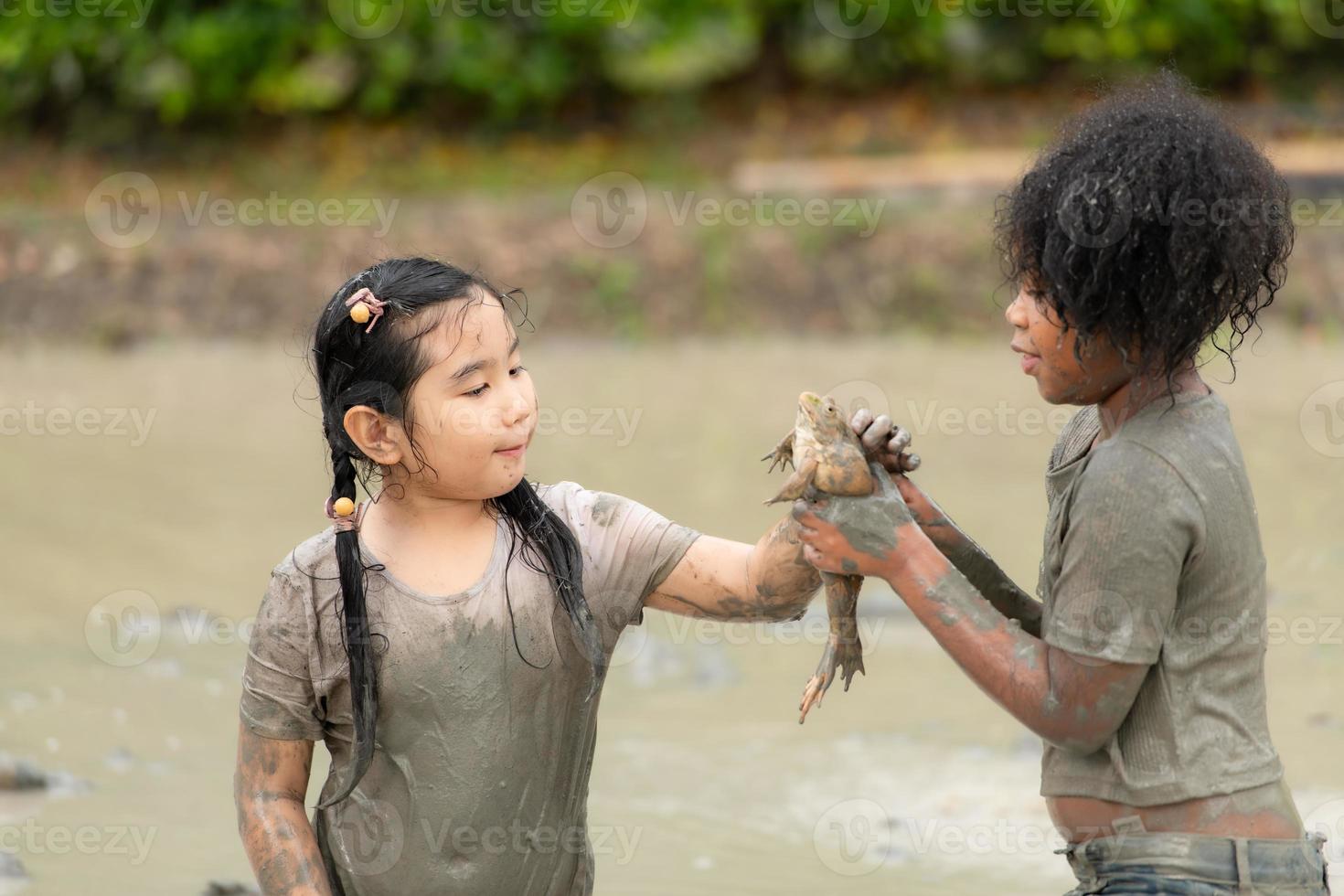 Children have fun playing in the mud in the community fields and catching a frog in a muddy field. photo