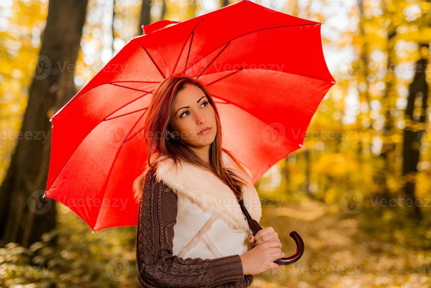 Red Umbrella view photo
