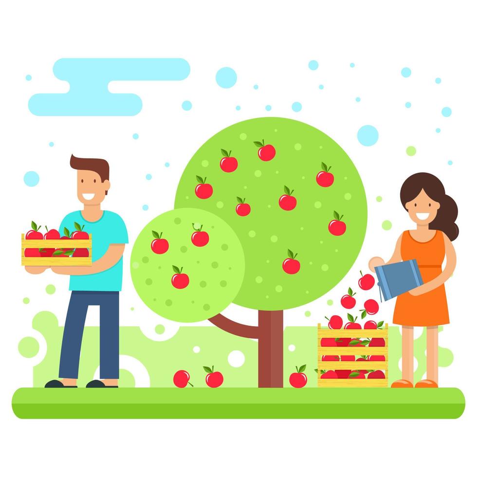 una familia feliz recoge cultivos de manzanas. vector