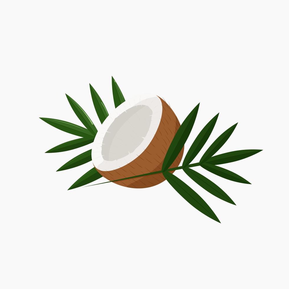 Vector illustration of isolated coconut with leaves. Brown hairy nut.