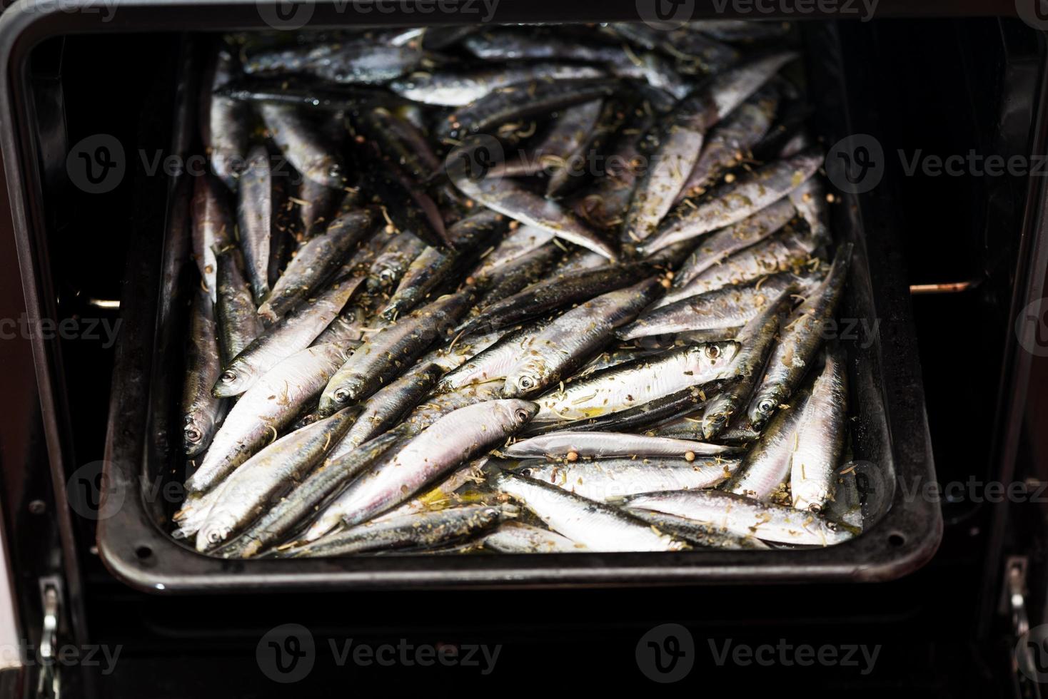 Raw Smelts view photo