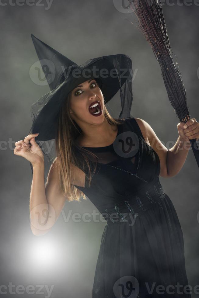 Halloween Witch view photo