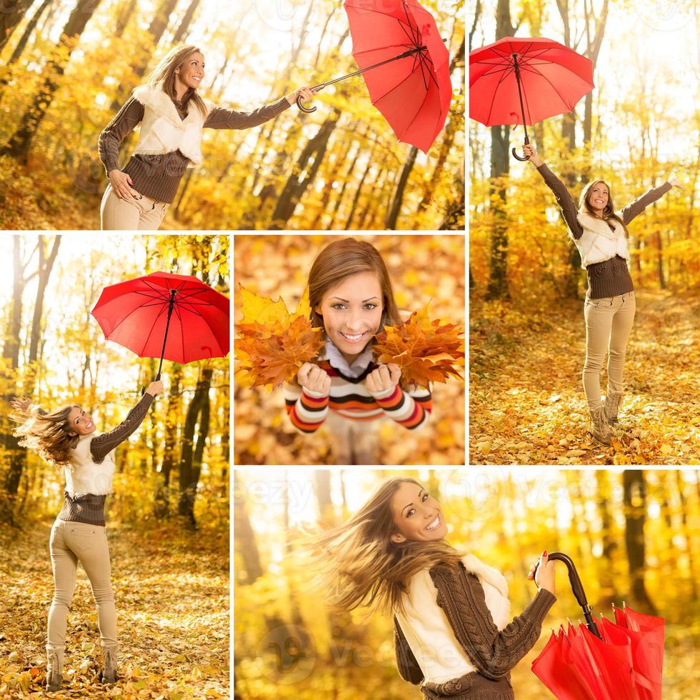 Autumn Collage view photo