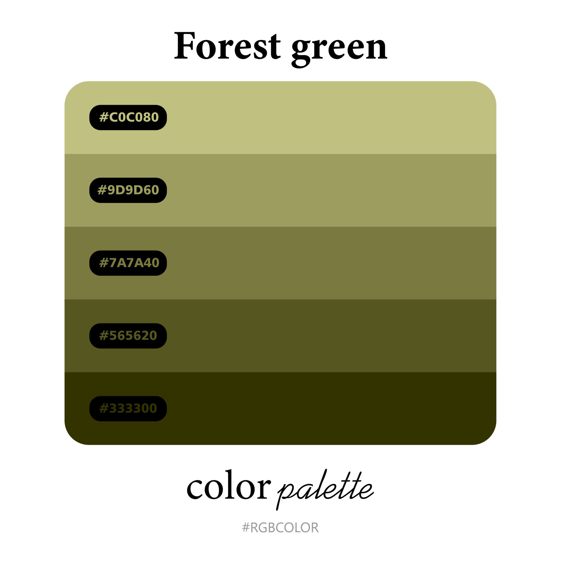 Forest Greens Color Palette